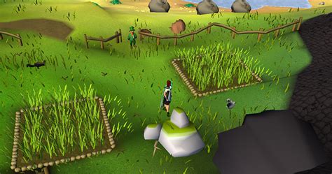 fossil island tree patch